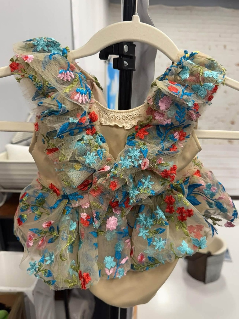 6month photoshoot outfit / Embroidered Floral Ruffle Baby Romper